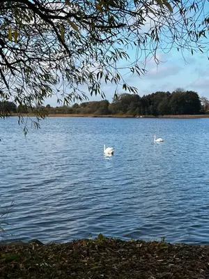 Naturlandschaft in der Nähe der Ferienwohnung