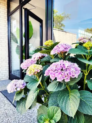 Ein Garten an der Unterkunft Nur 7 Gehminuten zum Strand, sehr hochwertige Ferienwohnung mit Terrasse in ruhiger Lage, inklusive Parkplatz und Fahrradunterstellplatz lässt keine Wünsche offen