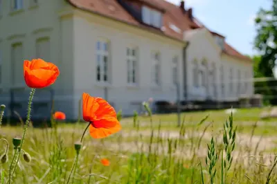 Ein Garten an der Unterkunft Gutshaus KVH FeWo Lübeck