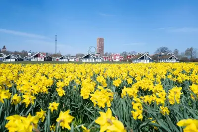 Grundriss der Unterkunft Strandpark Sierksdorf H049