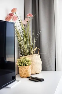 TV/Unterhaltungsangebot in der Unterkunft Ostsee Suite 4 - Strandperle