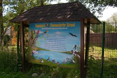 Grundriss der Unterkunft Strandresidenz Sierksdorf NR 13