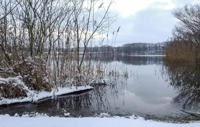 Naturlandschaft in der Nähe des Ferienhauses