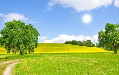 Naturlandschaft in der Nähe des Ferienhauses