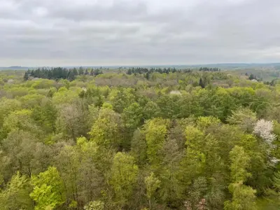 Naturlandschaft in der Nähe der Ferienwohnung