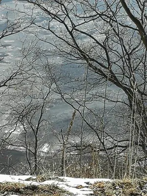 Naturlandschaft in der Nähe des Bootes