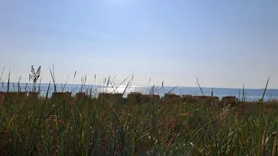Naturlandschaft in der Nähe des Ferienhauses