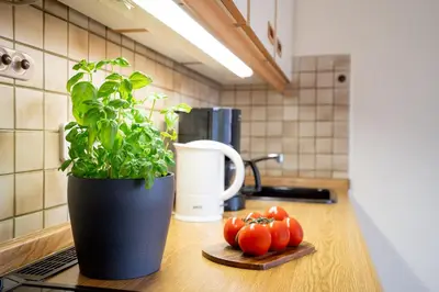 Küche/Küchenzeile in der Unterkunft AMW1 Ferienwohnung Garbers Thiele