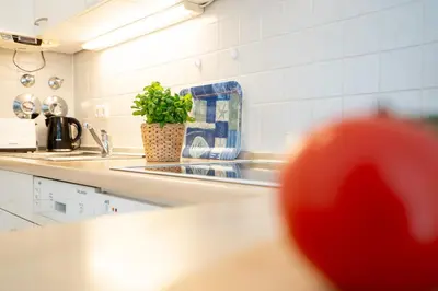 Küche/Küchenzeile in der Unterkunft OST1 Ferienwohnung Lörper