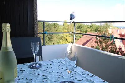 Ein Balkon oder eine Terrasse in der Unterkunft ROD32 Ferienwohnung Schneider