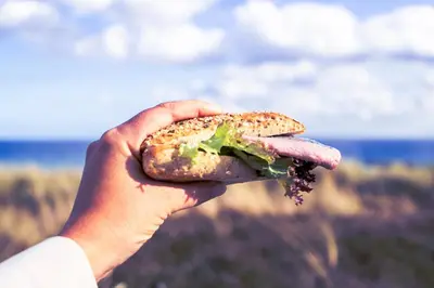 Naturlandschaft in der Nähe der Ferienwohnung
