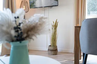 TV/Unterhaltungsangebot in der Unterkunft Ostseecamp Lübecker Bucht Ferienhaus 