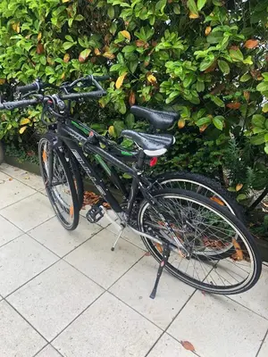 Radfahren an der Unterkunft Ferienwohnung- nur 60 Meter vom Strand oder in der Nähe
