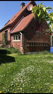 Ein Garten an der Unterkunft NEU! Ferienhaus mit Naturgarten