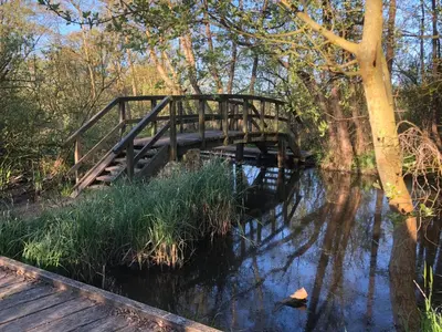 Naturlandschaft in der Nähe der Ferienwohnung