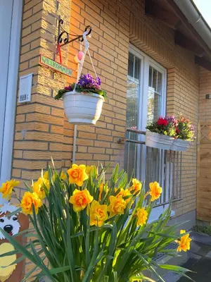 Ein Garten an der Unterkunft Casa Hasselholt