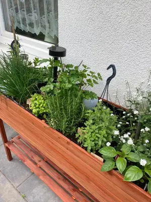 Ein Garten an der Unterkunft Casa Hasselholt