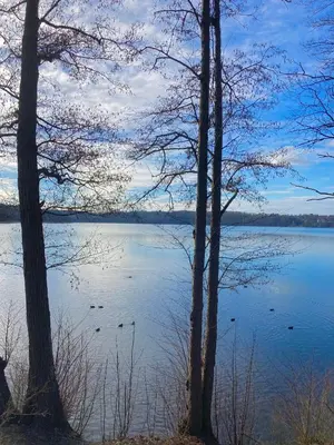 Naturlandschaft in der Nähe des Privatzimmers