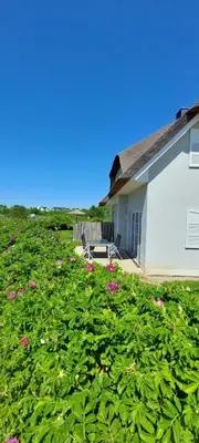 Ein Garten an der Unterkunft Neu! Strandnah bis 6 Pers Haus B