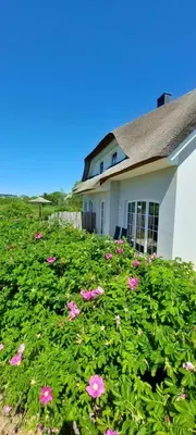 Ein Garten an der Unterkunft Neu! Strandnah bis 6 Pers Haus A
