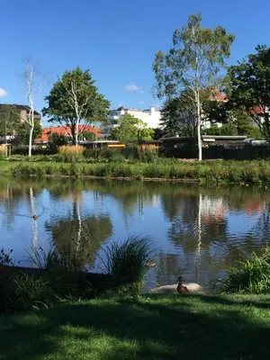 Naturlandschaft in der Nähe der Ferienwohnung